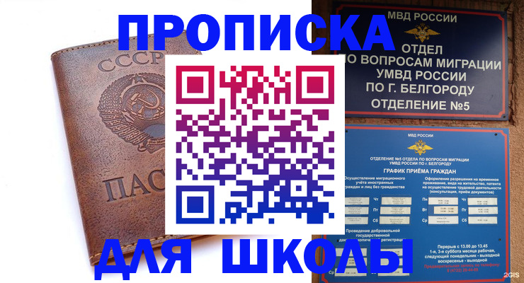 прописка для кредита в Шатуре